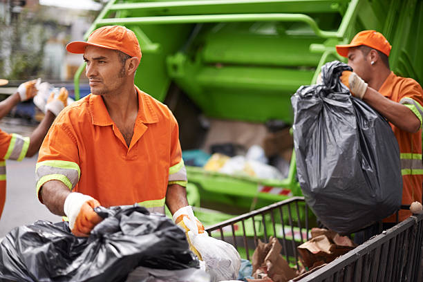 Best Recycling Services for Junk  in Davison, MI